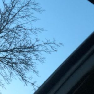 Meet your Posher, Luz